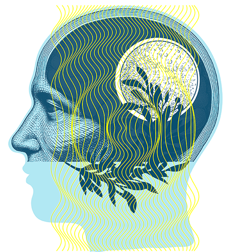 Neurofeedback