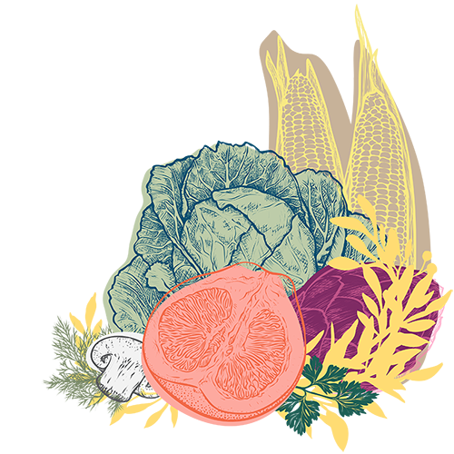 Nutritional Consultations